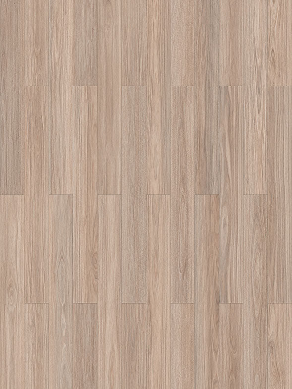 Blackbutt | Plank Hybrid Plus | 10mm
