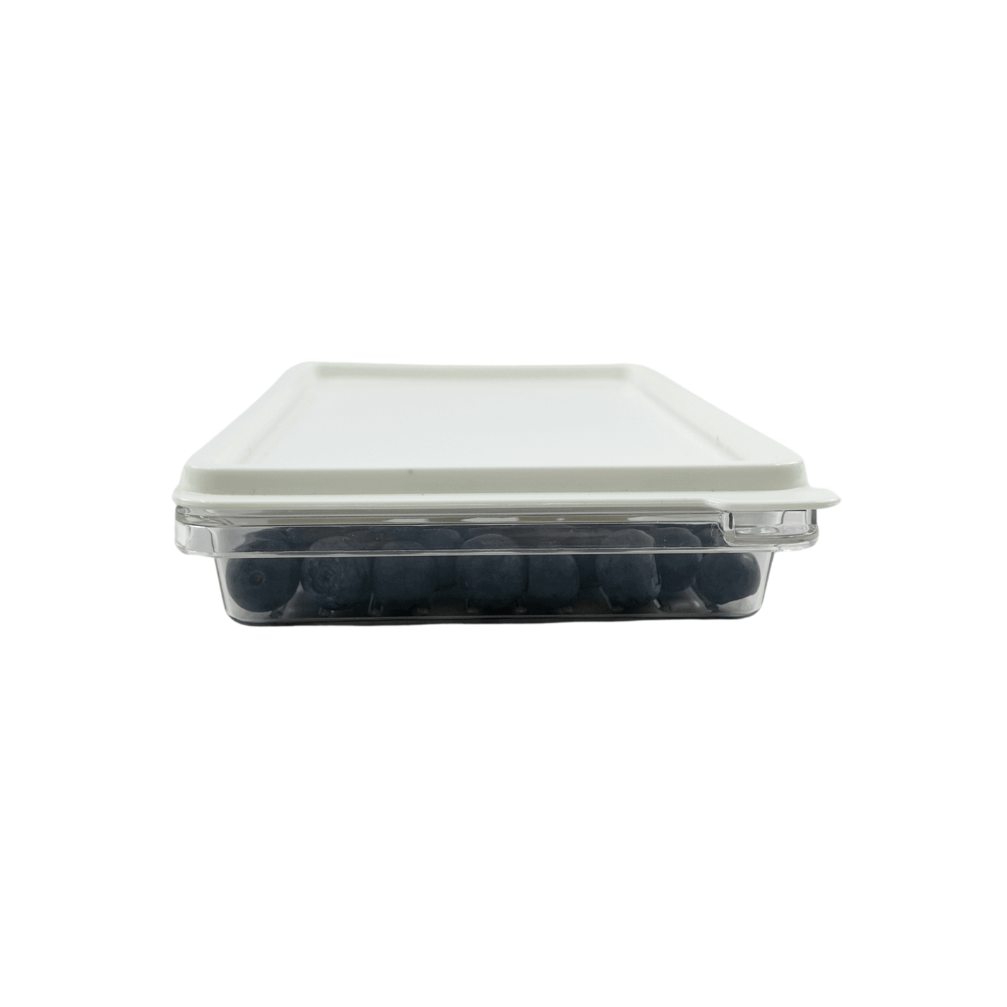 Mini Airtight Food Storage Container – Compact & Stylish Organiser-0