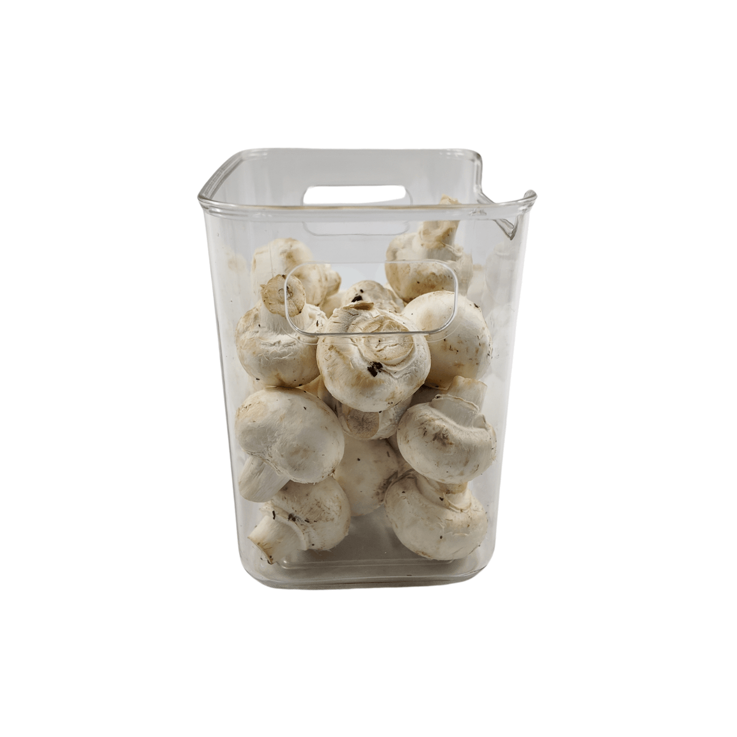Extra-Small Fridge Clear Storage Tub-3