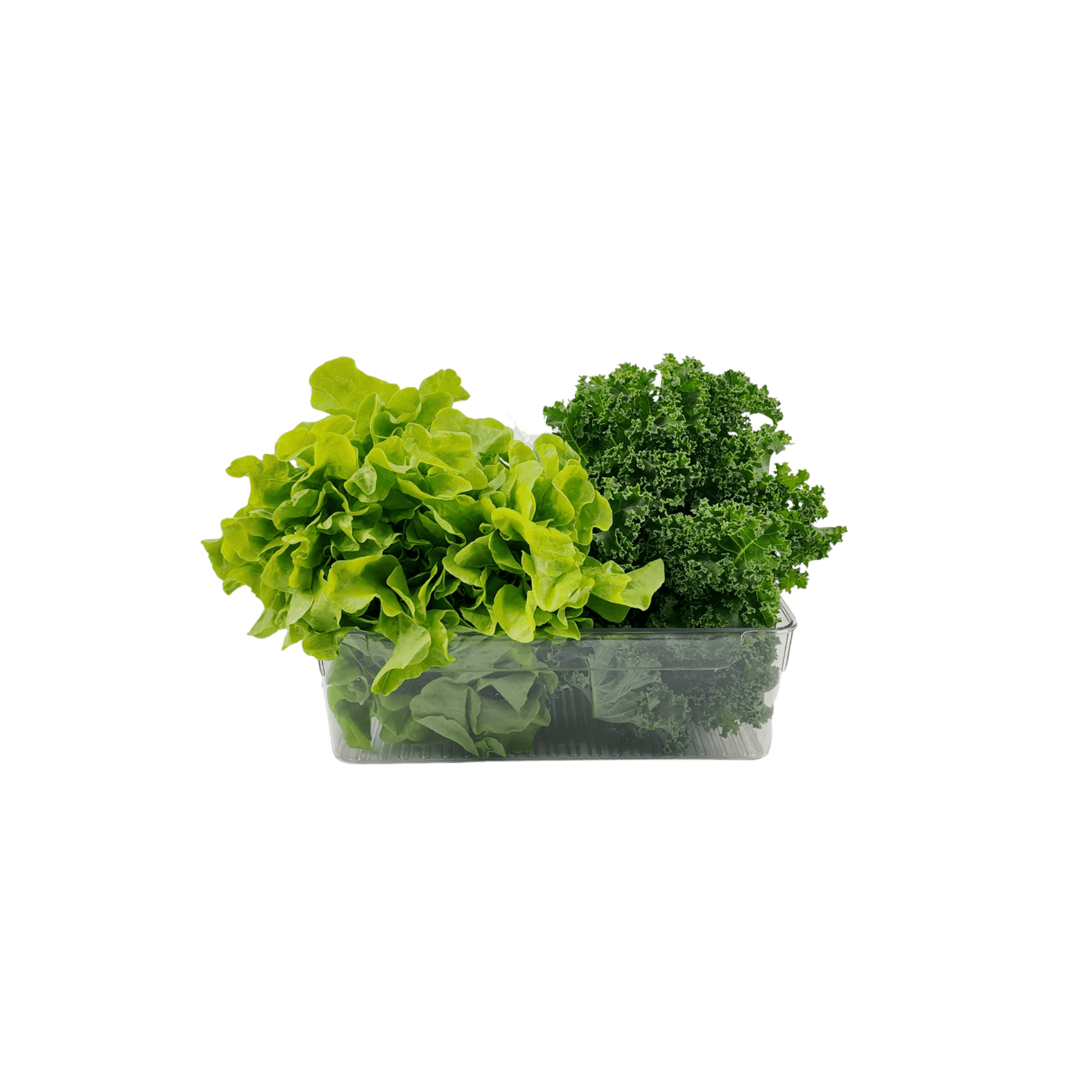 Fridge Stackable Clear Storage Tub - XL-3