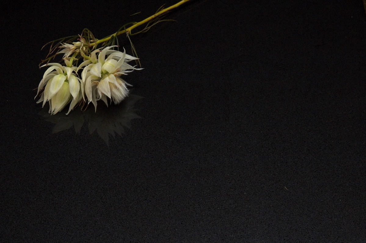 Midnight Black Quartz Stone - Standard range $ - Imperial Glass and Timber