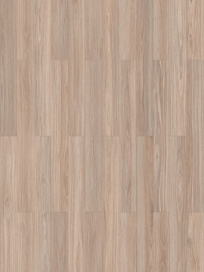 Blackbutt - Plank Hybrid Plus 10mm