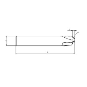 Special Carbride - Pencil Profile | 12mm D | 2mm L2 | 12mm S | 75mm L | 2mm R