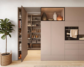 Blum CLIP top BLUMOTION Standard Soft Close Hinge 110 Degree. Inset Application. Boss: INSERTA by W&B