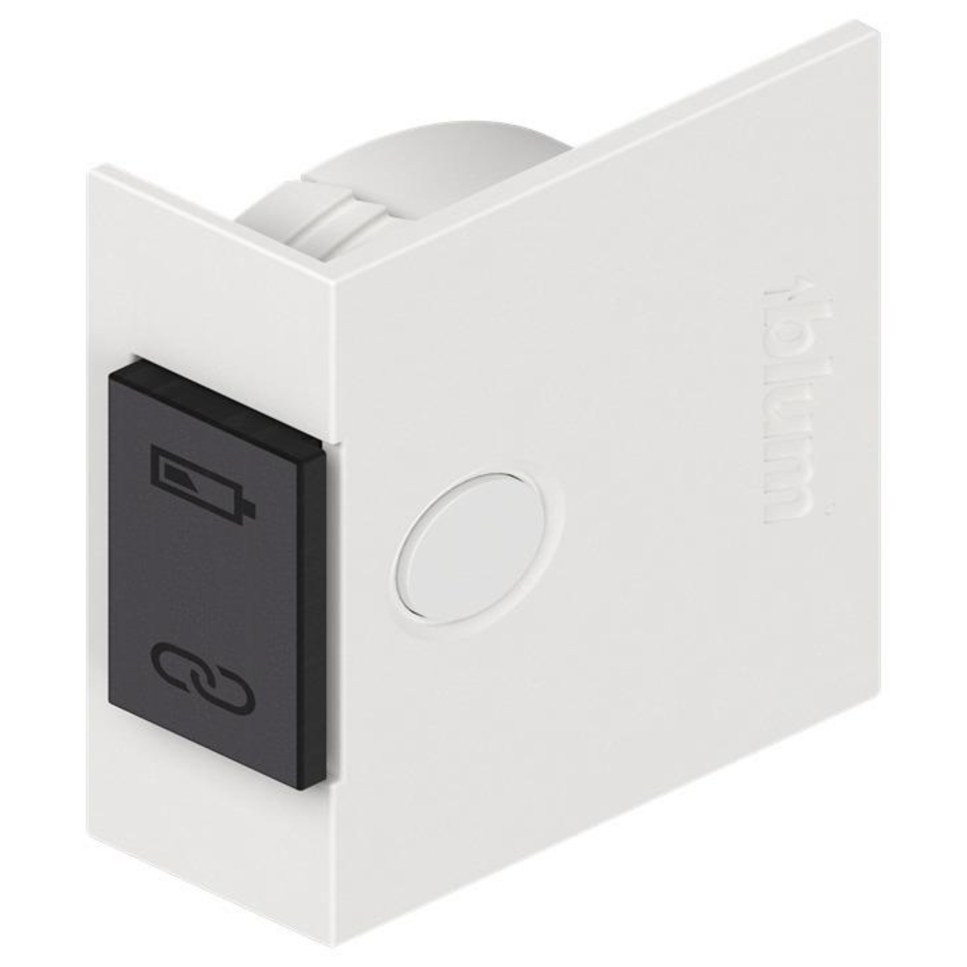 Blum SERVO-DRIVE Switch Silk White Matt 23P5020 by W&B