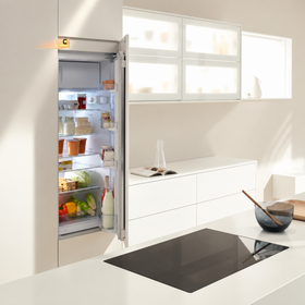 Blum SERVO-DRIVE Flex mounting plate for dishwashers by W&B