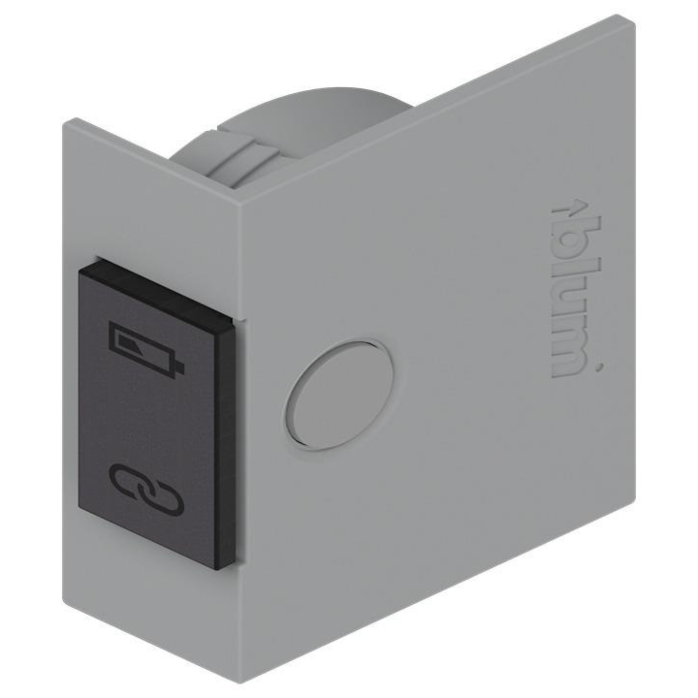 Blum SERVO-DRIVE Switch Light Grey by W&B