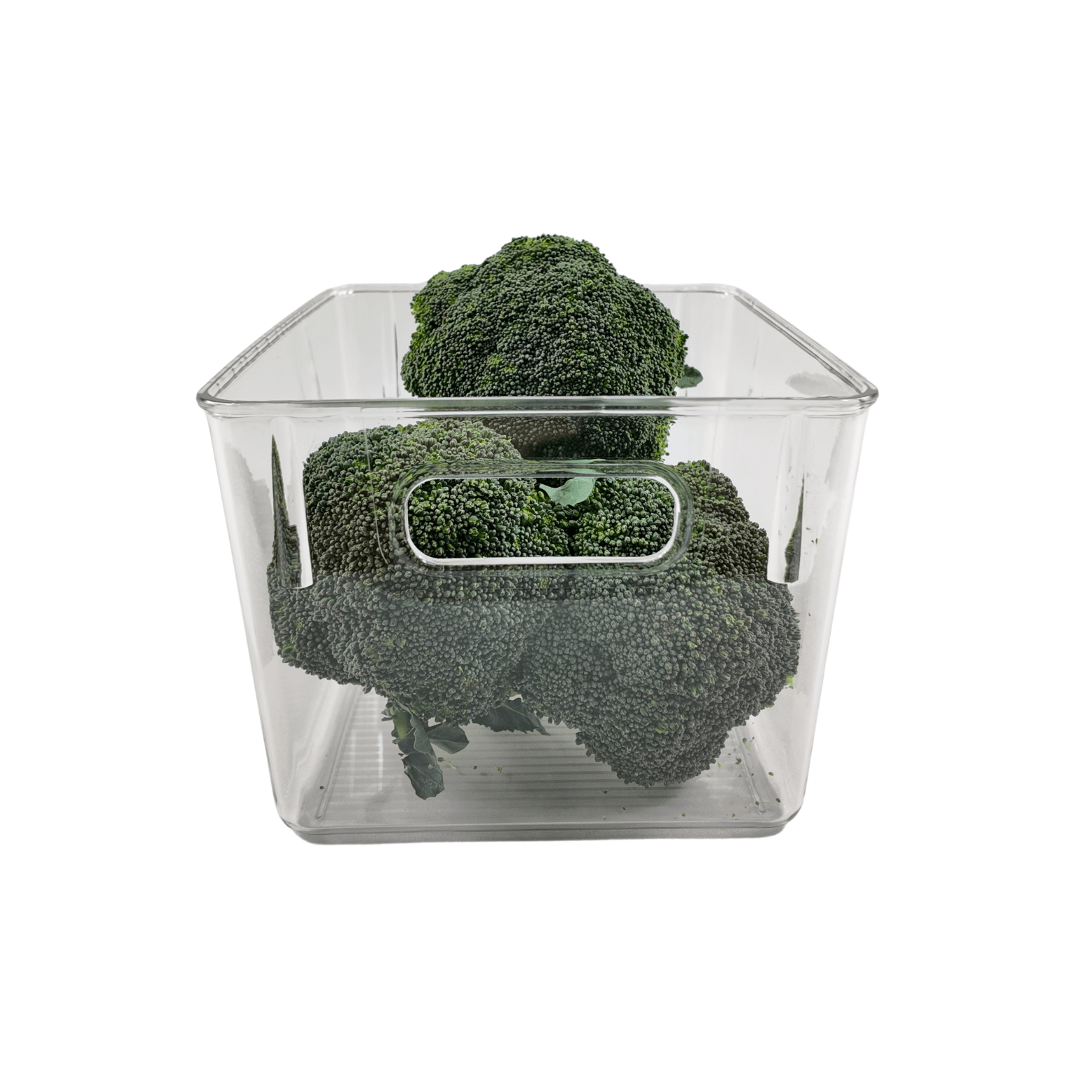 Large Clear Fridge Storage Tub-0