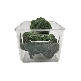 Large Clear Fridge Storage Tub
