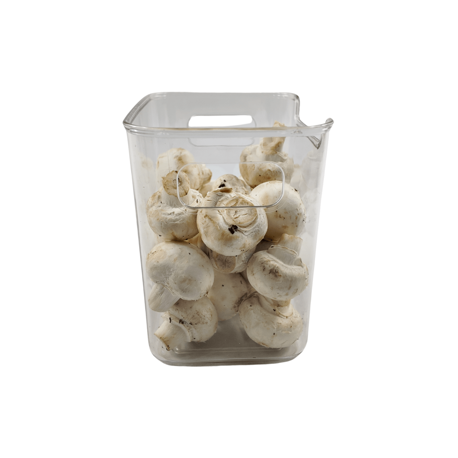 Extra-Small Fridge Clear Storage Tub-3