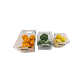 Extra-Large Fridge Clear Storage Tub