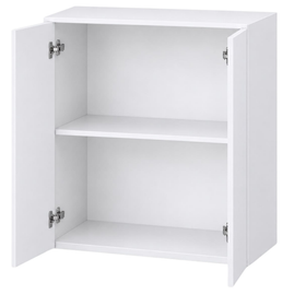 Wall Cabinet - Double Door 600mm