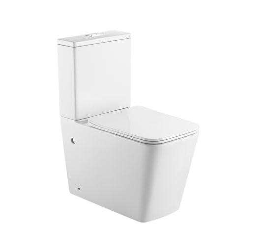 Two piece washdown toilet with dual flush system and modern floor standing design for efficient everyday bathroom use