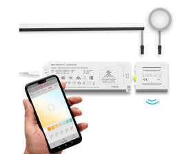 L&S MEC System Bluesmart Distribution Module. For RGB Lighting. 4 ways. 24 Volt by W&B