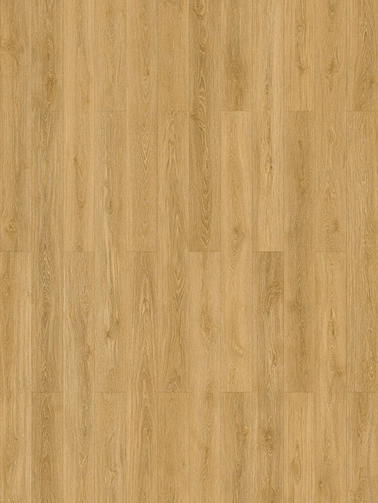 Misto Plank Hybrid Plus 10mm flooring featuring waterproof hybrid technology, realistic timber grain, and stylish interior appeal