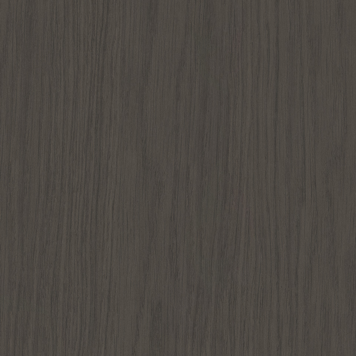 Steccawood 17x34mm cove timber batten by Polytec – prefinished MDF decorative panel for interior walls and ceilings with warm timber look