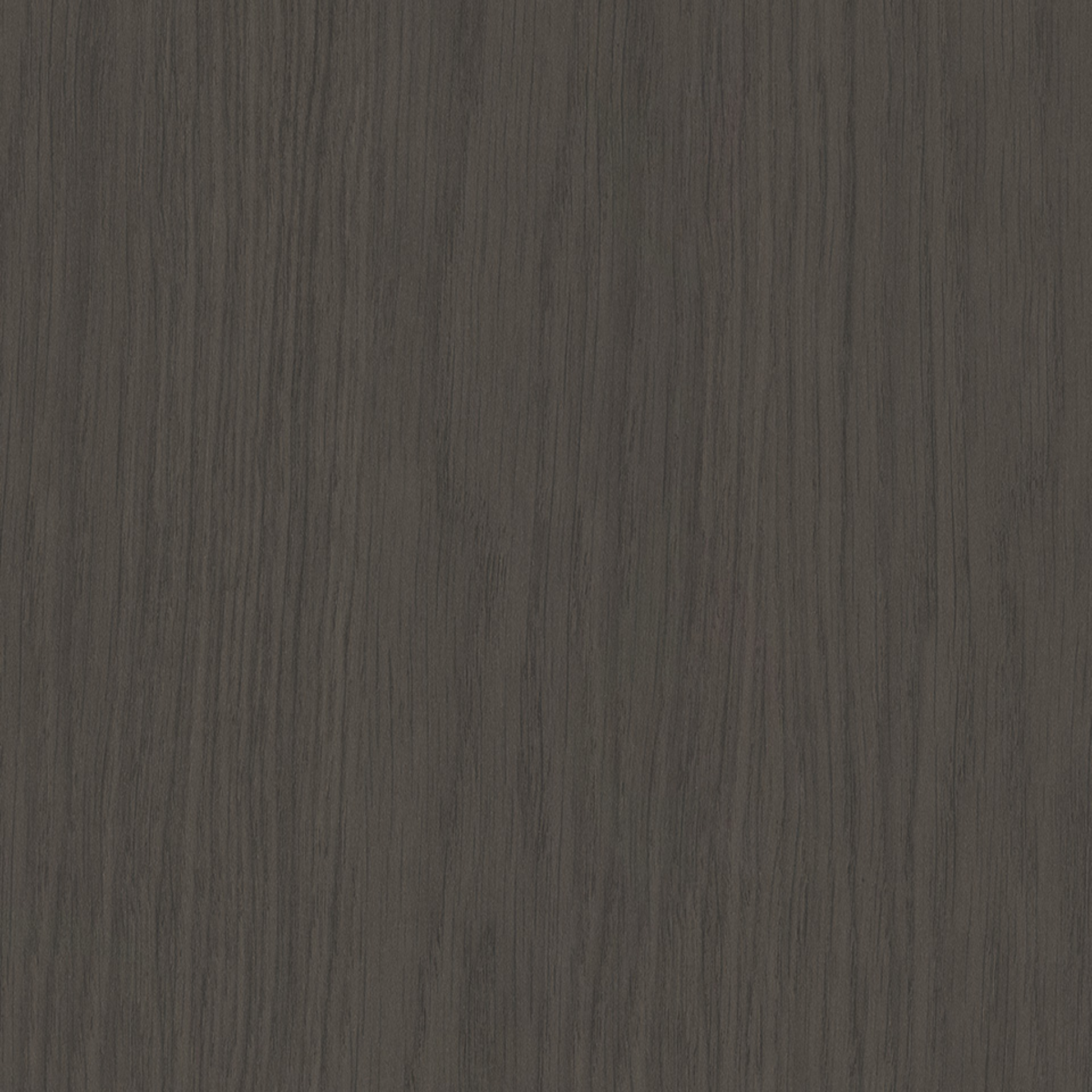 Steccawood 17x34mm cove timber batten by Polytec – prefinished MDF decorative panel for interior walls and ceilings with warm timber look