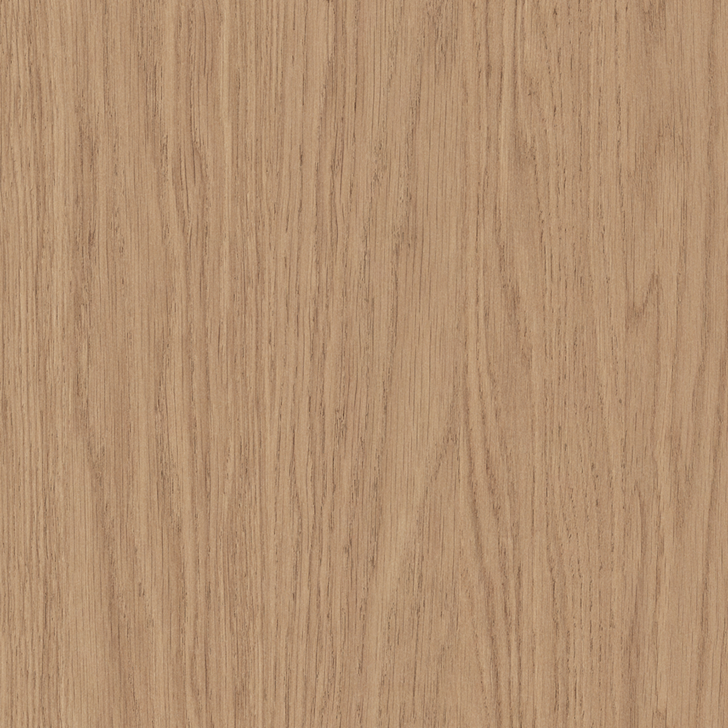 Steccawood 17x34mm cove timber batten by Polytec – prefinished MDF decorative panel for interior walls and ceilings with warm timber look
