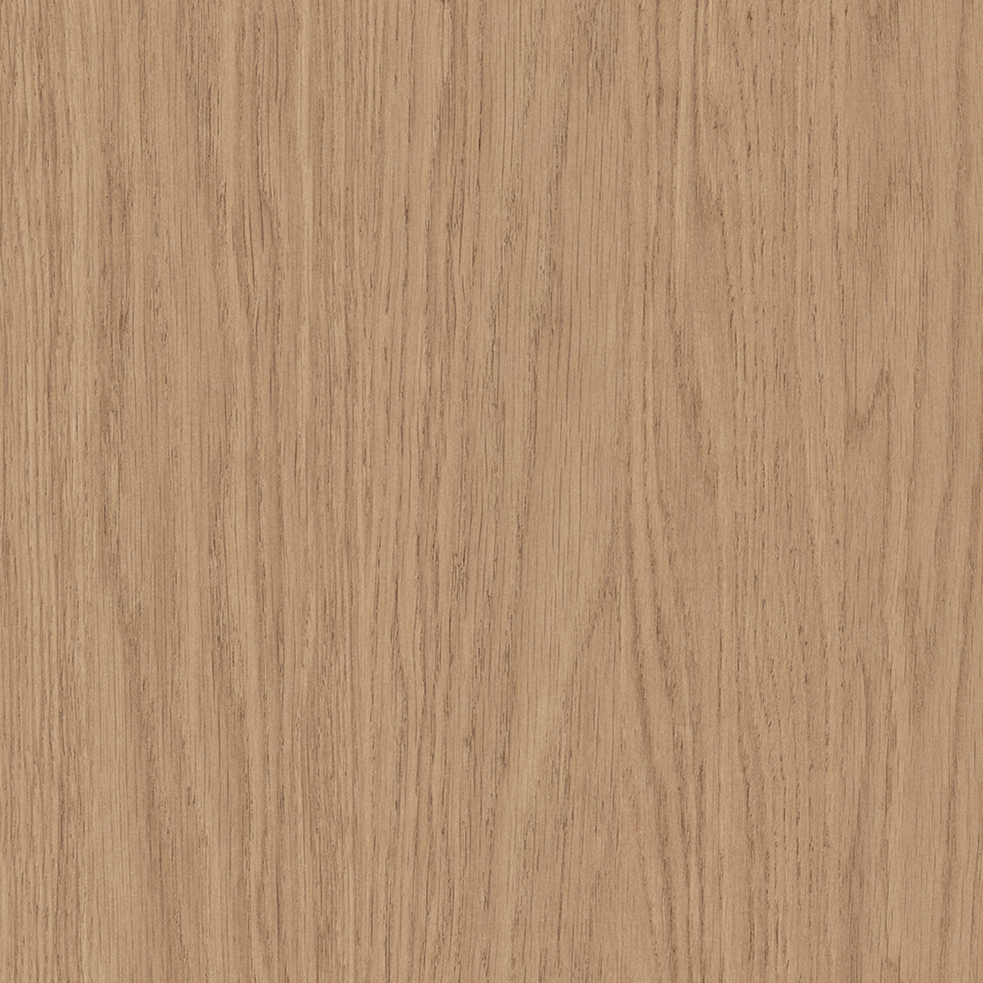 Steccawood 17x34mm cove timber batten by Polytec – prefinished MDF decorative panel for interior walls and ceilings with warm timber look