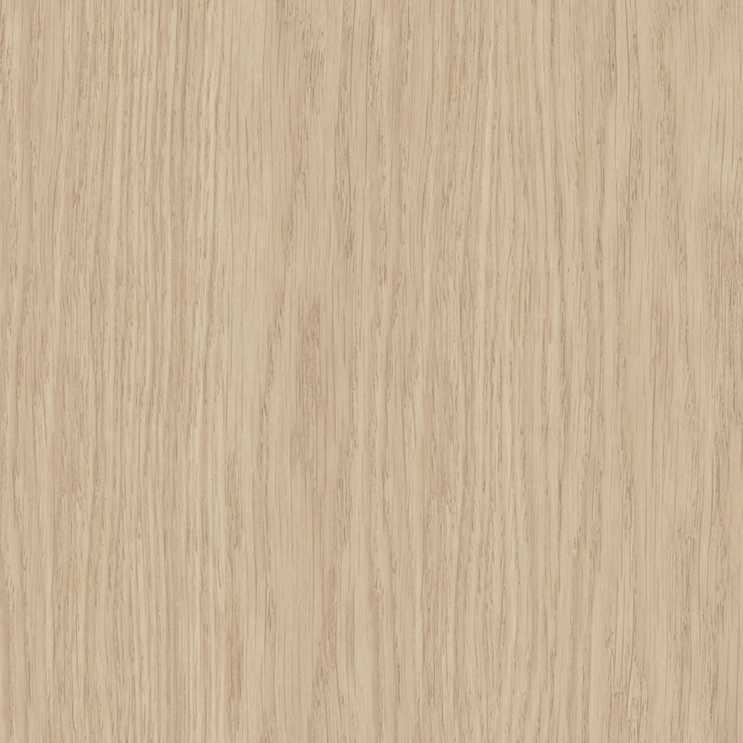 Steccawood 17x34mm cove timber batten by Polytec – prefinished MDF decorative panel for interior walls and ceilings with warm timber look