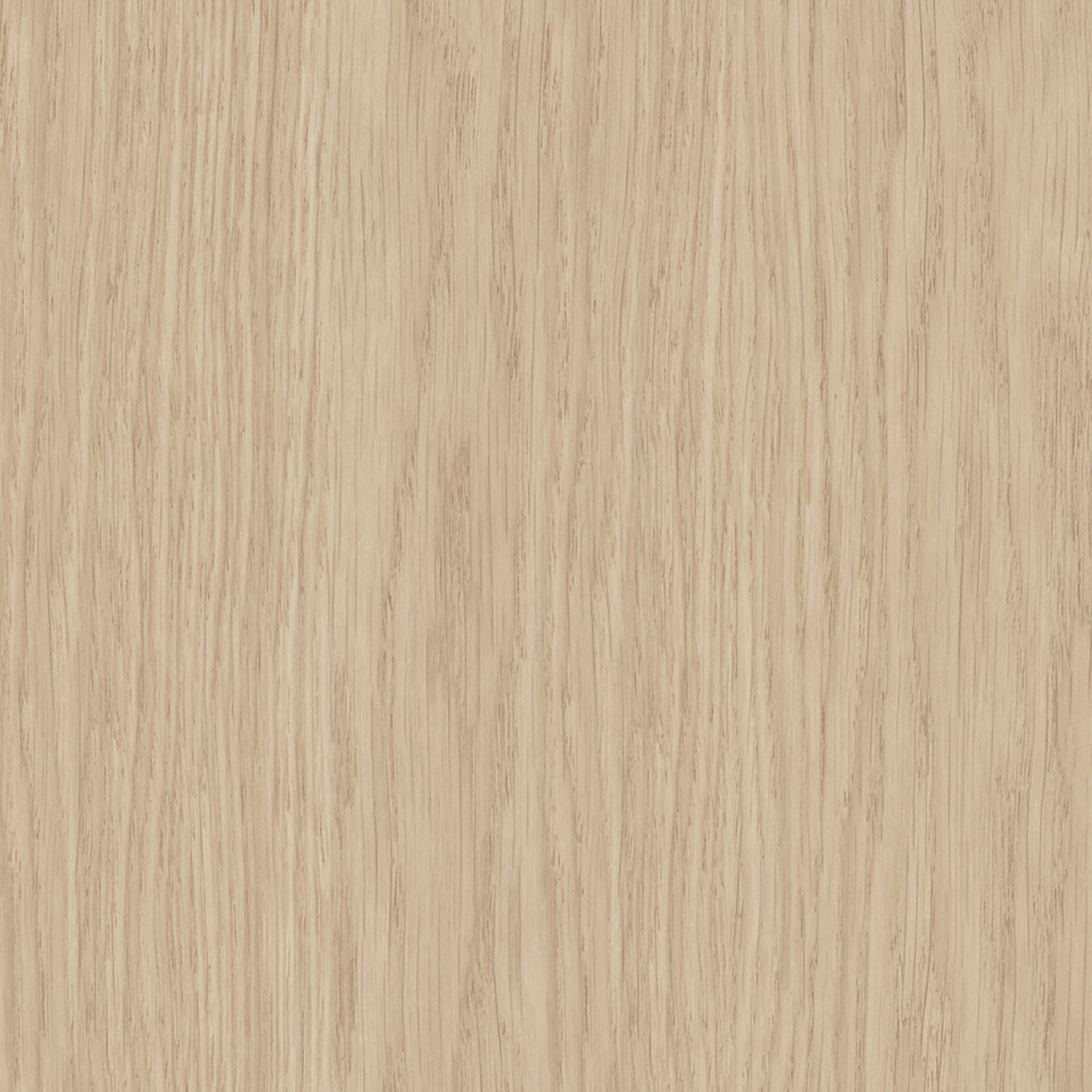 Steccawood 17x34mm cove timber batten by Polytec – prefinished MDF decorative panel for interior walls and ceilings with warm timber look