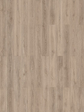 Robusta | Plank Hybrid Plus | 10mm