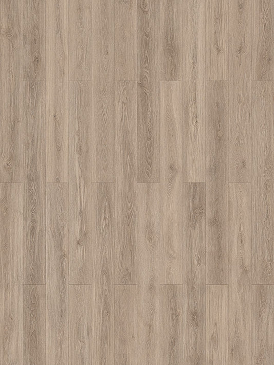 Robusta Plank Hybrid Plus 10mm waterproof hybrid flooring with realistic timber grain finish, durable and stylish flooring for modern interiors