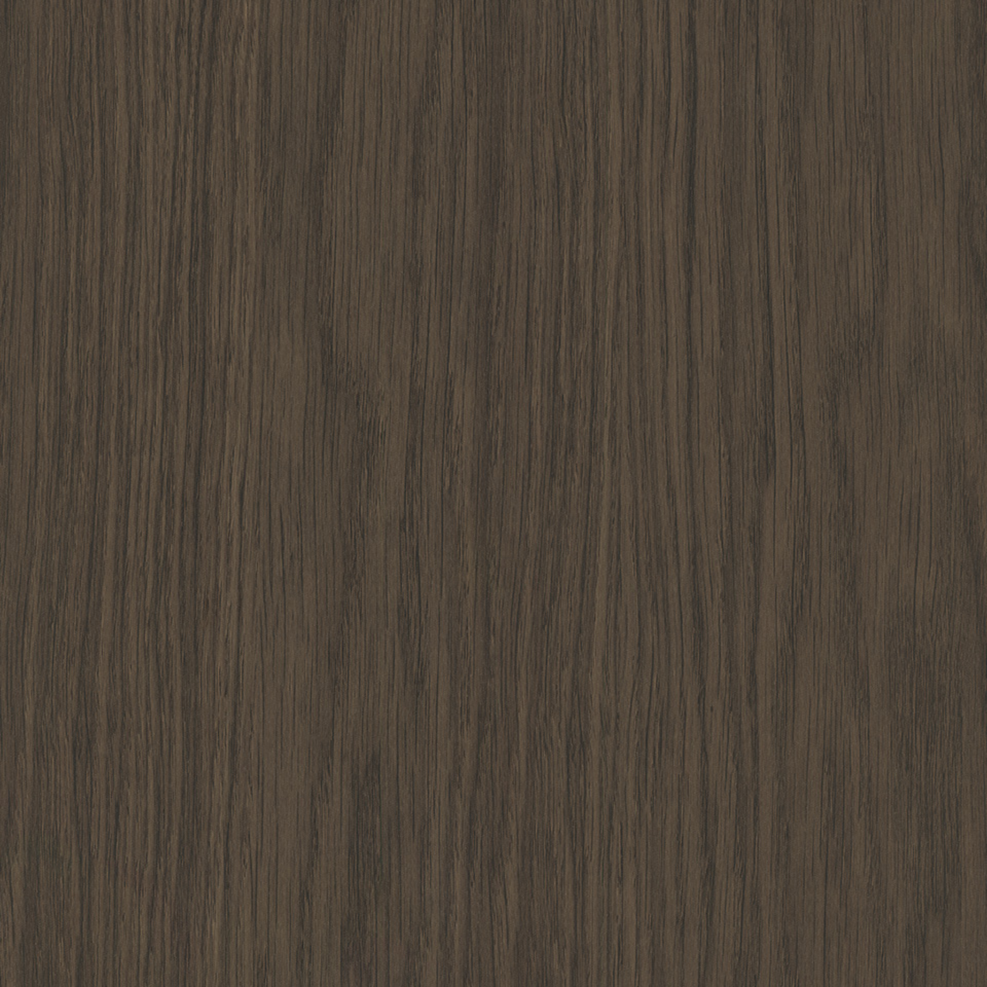 Steccawood 17x34mm cove timber batten by Polytec – prefinished MDF decorative panel for interior walls and ceilings with warm timber look