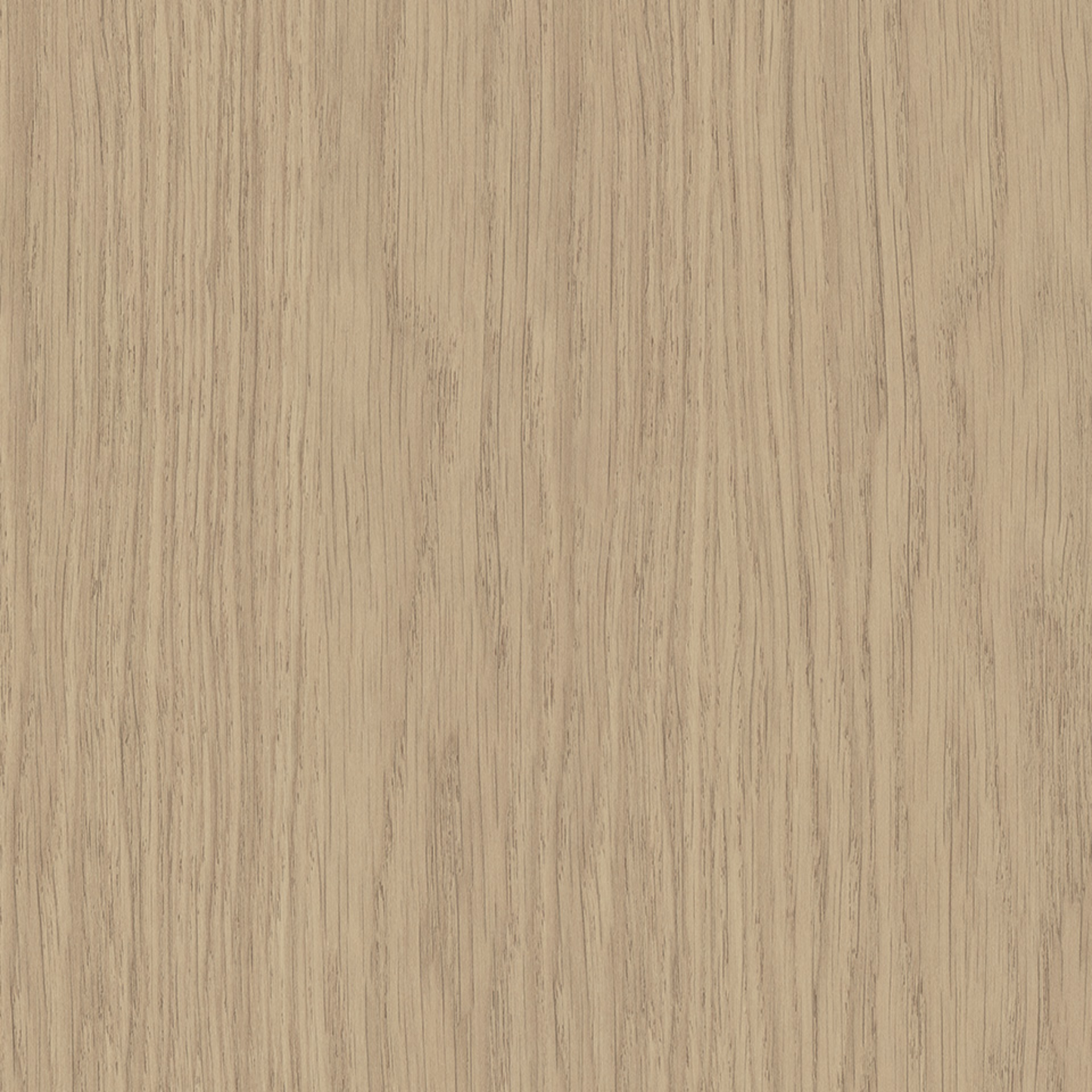 Steccawood 17x34mm cove timber batten by Polytec – prefinished MDF decorative panel for interior walls and ceilings with warm timber look