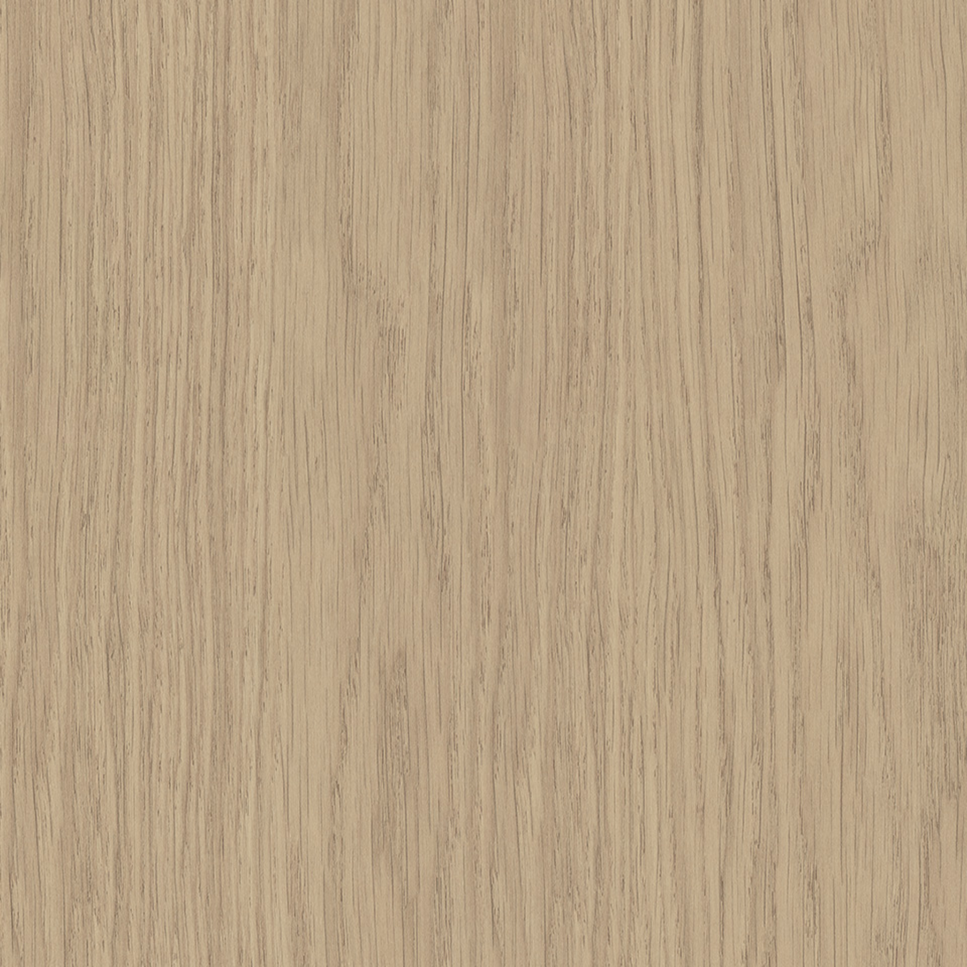 Steccawood 17x34mm cove timber batten by Polytec – prefinished MDF decorative panel for interior walls and ceilings with warm timber look