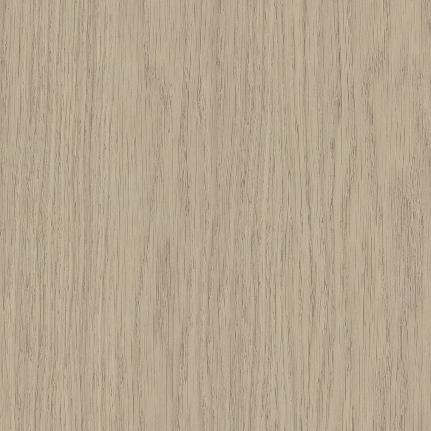 Steccawood 17x34mm cove timber batten by Polytec – prefinished MDF decorative panel for interior walls and ceilings with warm timber look