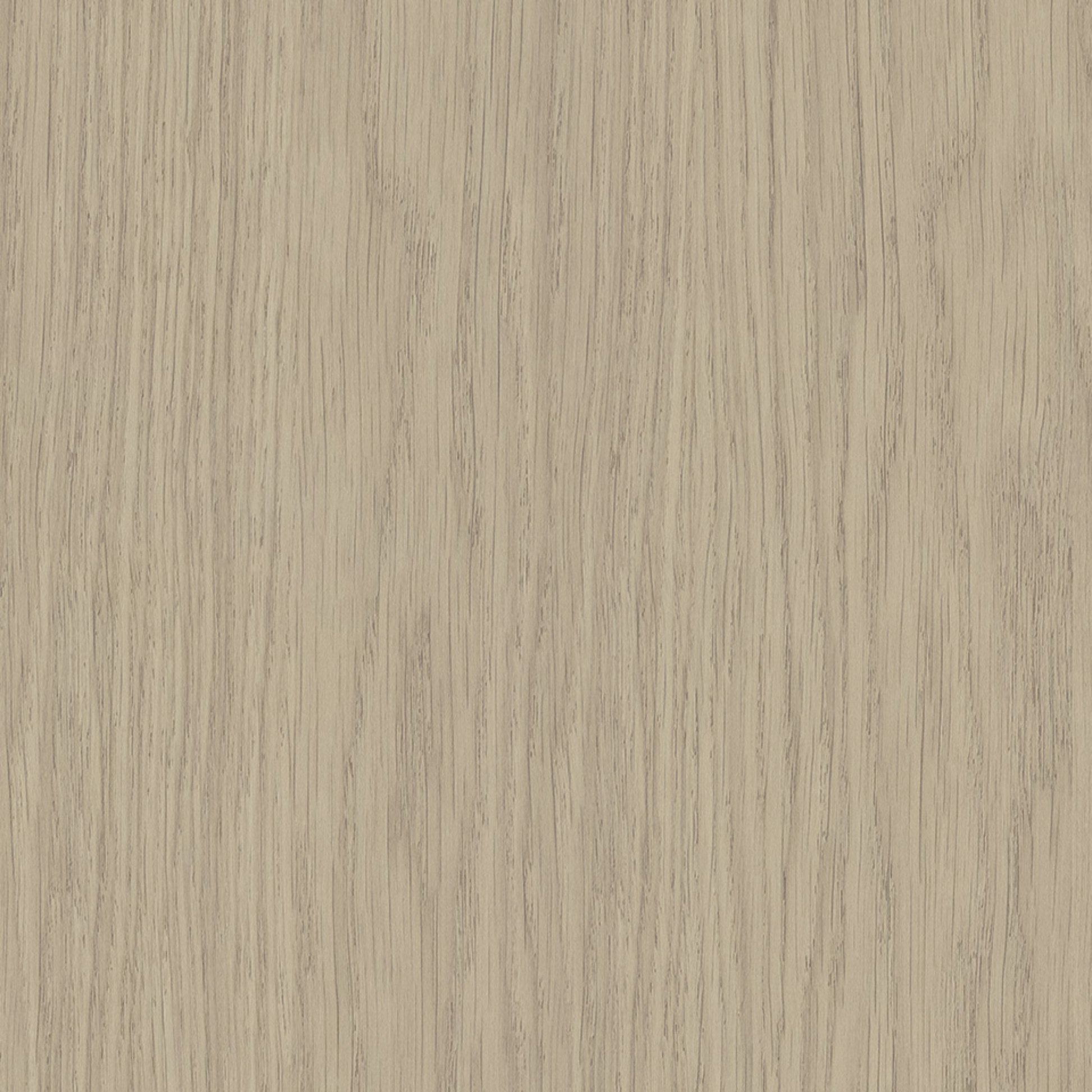 Steccawood 17x34mm cove timber batten by Polytec – prefinished MDF decorative panel for interior walls and ceilings with warm timber look