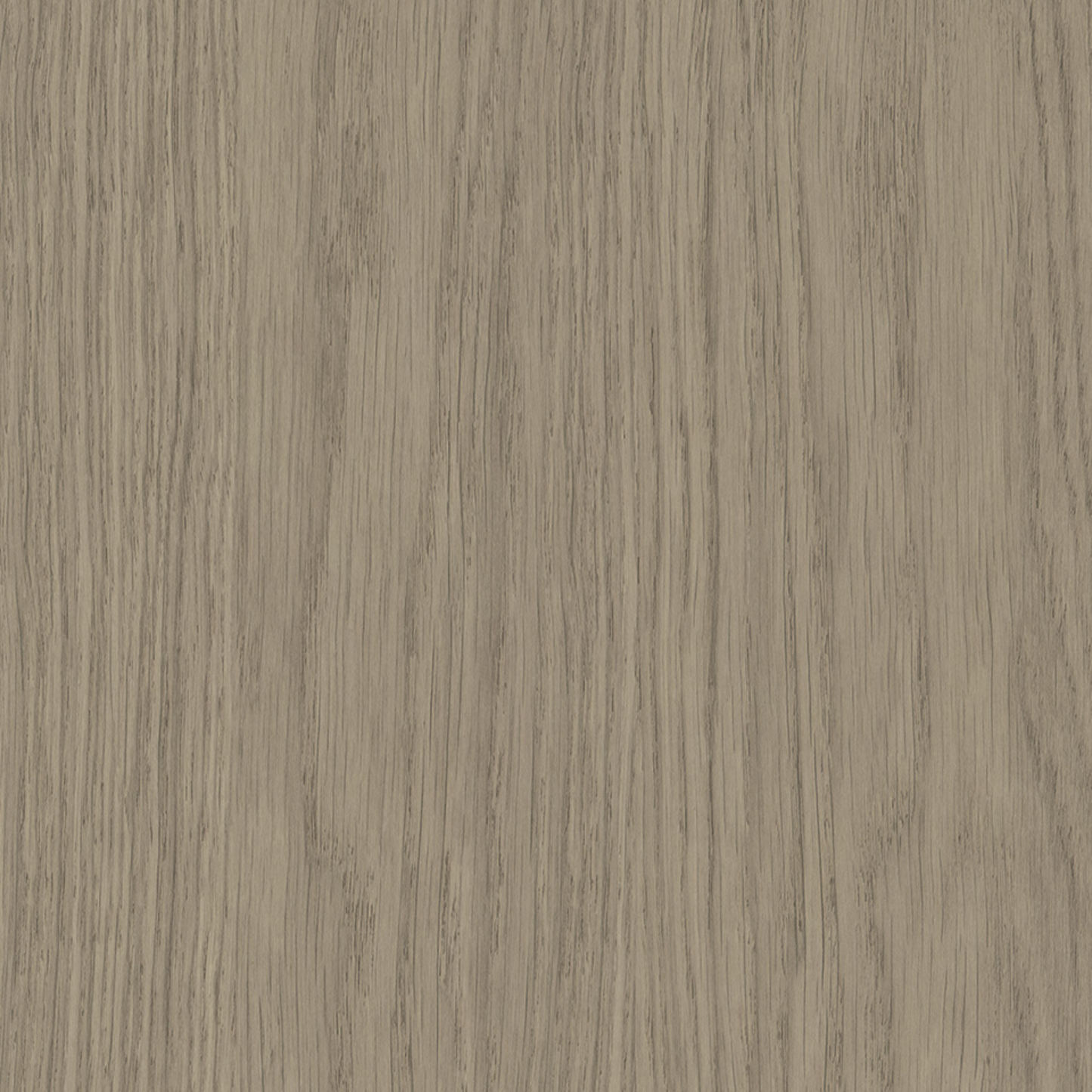 Steccawood 17x34mm cove timber batten by Polytec – prefinished MDF decorative panel for interior walls and ceilings with warm timber look