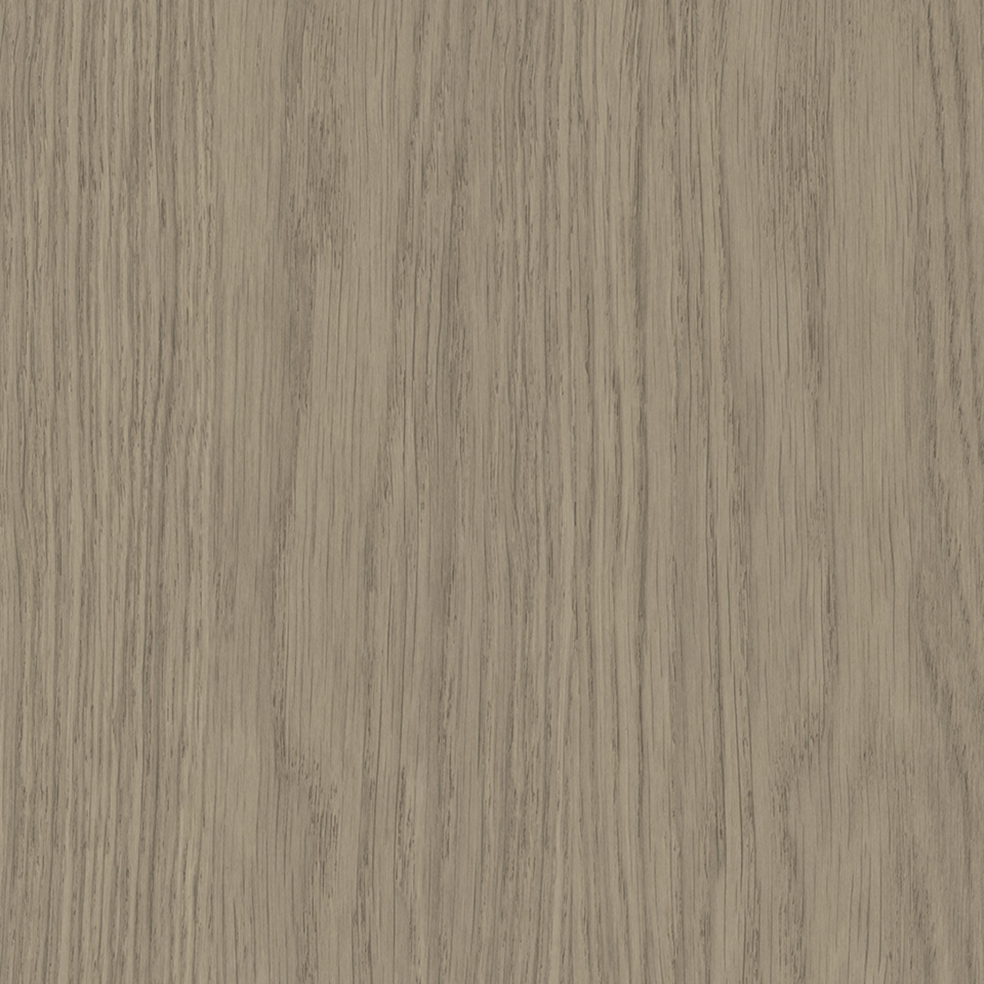 Steccawood 17x34mm cove timber batten by Polytec – prefinished MDF decorative panel for interior walls and ceilings with warm timber look