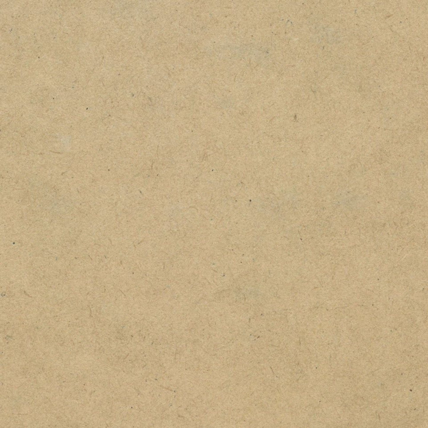 Steccawood 17x34mm cove timber batten by Polytec – prefinished MDF decorative panel for interior walls and ceilings with warm timber look