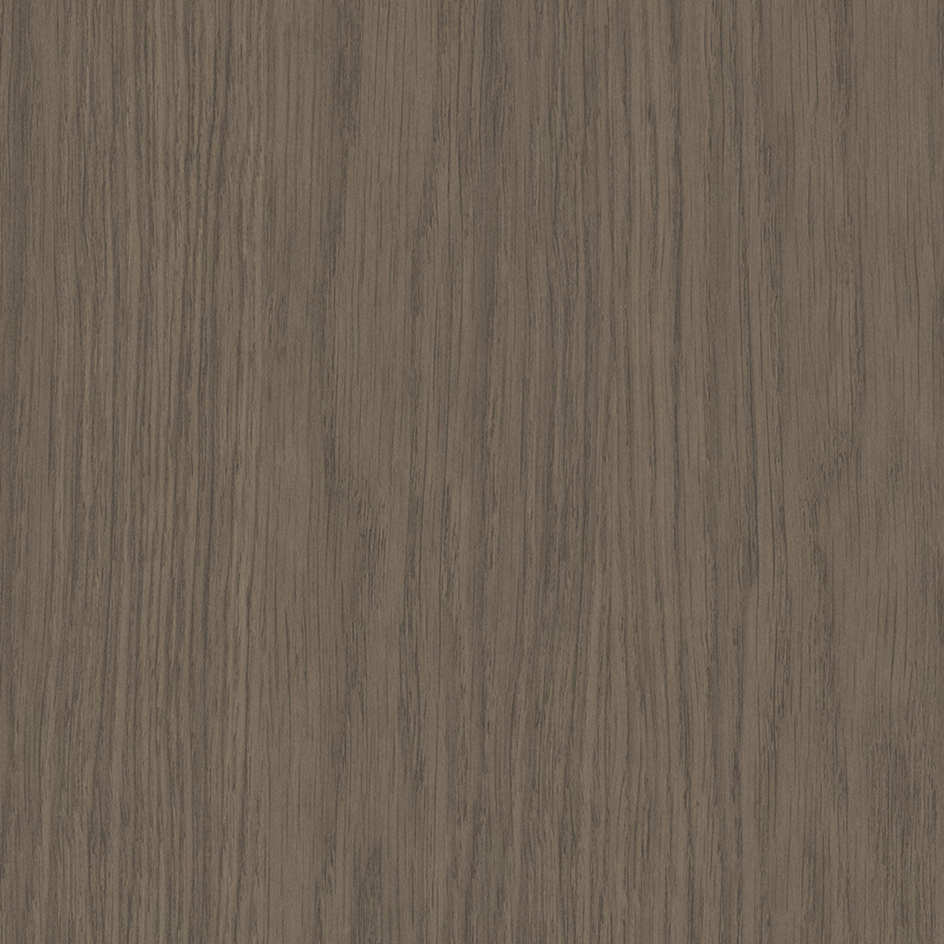 Steccawood 17x34mm cove timber batten by Polytec – prefinished MDF decorative panel for interior walls and ceilings with warm timber look