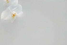Alpine White Quartz Stone (Deluxe Range)