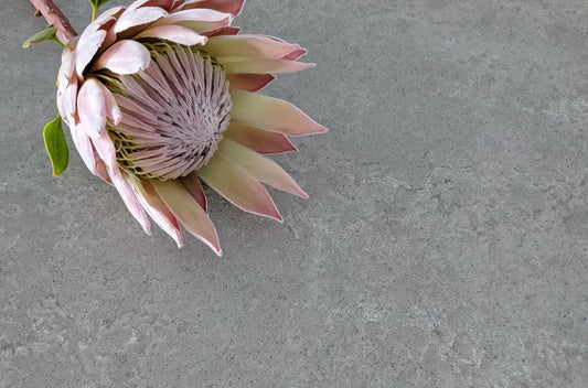 Concrete Matte stone battens 30mm x 20mm with a contemporary textured finish, 10 pack decorative wall cladding panels for feature walls, interiors, and architectural projects.