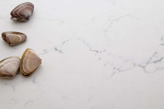 Michelangelo natural quartz stone slab for kitchen benchtops, bathroom vanities, laundries and splashbacks with elegant marble-look veining and durable engineered quartz finish.